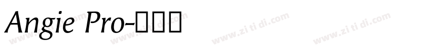 Angie Pro字体转换